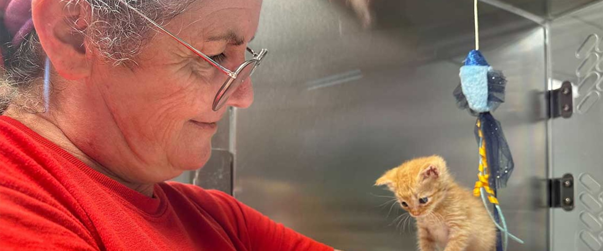 The Power of Volunteers in Fundraising in North Central Texas